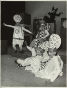 Słoneczny kraj (fot. 2) [Dokument ikonograficzny]