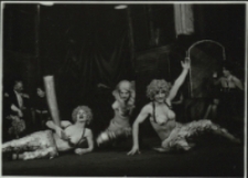 Opowieści Lasku Wiedeńskiego (fot. 3) [Dokument ikonograficzny]