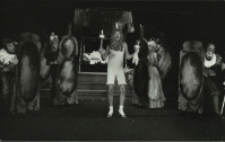 Król malowany (fot. 8) [Dokument ikonograficzny]