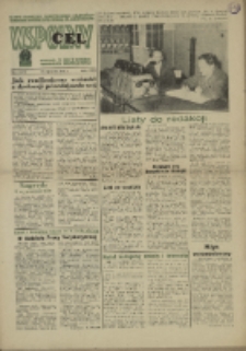 Wspólny cel : Gazeta samorządu robotniczego "Celwiskozy" odznaczona honorową złota odznaką zw. zaw. chemików , 1969, nr 3 (379)