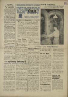 Wspólny cel : Gazeta samorządu robotniczego "Celwiskozy" odznaczona honorową złota odznaką zw. zaw. chemików , 1969, nr 6 (382)