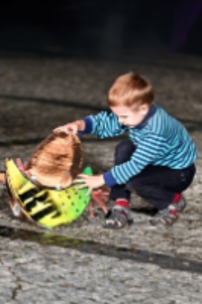 Mr Pejo`s Wandering Dolls. Bestiary (fot. 2) [Dokument ikonograficzny]