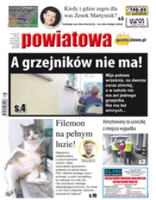 Gazeta Powiatowa - Wiadomości Oławskie, 2017, nr 38