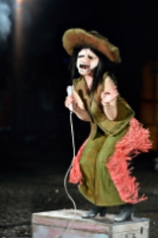 Mr Pejo`s Wandering Dolls. Bestiary (fot. 29) [Dokument ikonograficzny]