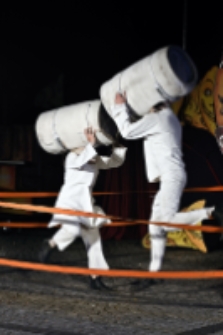 Mr Pejo`s Wandering Dolls. Bestiary (fot. 33) [Dokument ikonograficzny]