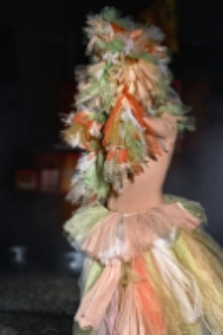 Mr Pejo`s Wandering Dolls. Bestiary (fot. 41) [Dokument ikonograficzny]