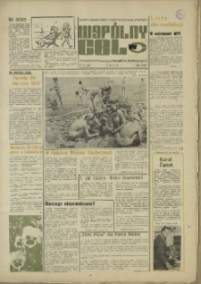 Wspólny cel : gazeta samorządu robotniczego "Celwiskozy", 1976, nr 19 (646)