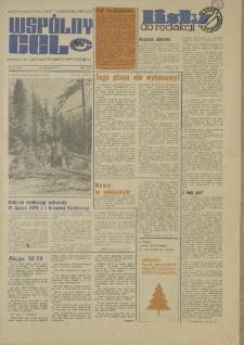Wspólny cel : Gazeta samorządu robotniczego "Celwiskozy", 1973, nr 34 (553)