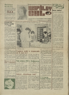 Wspólny cel : gazeta samorządu robotniczego "Celwiskozy", 1977, nr 13 (676)