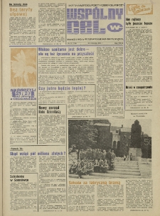 Wspólny cel : gazeta samorządu robotniczego "Celwiskozy", 1978, nr 27 (726)
