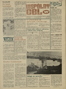 Wspólny cel : gazeta samorządu robotniczego "Celwiskozy", 1978, nr 29 (728)