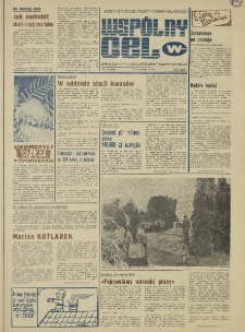 Wspólny cel : gazeta samorządu robotniczego "Celwiskozy", 1978, nr 31 (730)