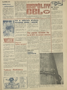 Wspólny cel : gazeta samorządu robotniczego "Celwiskozy", 1978, nr 33 (732)