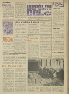 Wspólny cel : gazeta samorządu robotniczego "Celwiskozy", 1978, nr 34 (733)