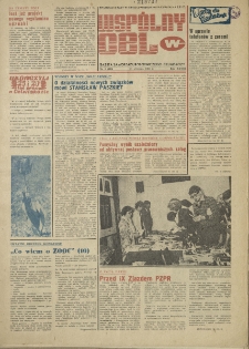 Wspólny cel : gazeta samorządu robotniczego "Celwiskozy", 1981, nr 3 (810)