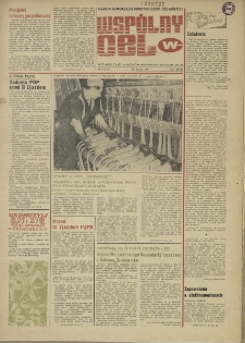 Wspólny cel : gazeta samorządu robotniczego "Celwiskozy", 1981, nr 5 (812)