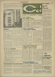 Wspólny cel : gazeta załogi ZWCh "Chemitex-Celwiskoza", 1982, nr 6 (846)