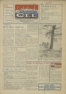 Wspólny cel : gazeta załogi ZWCH "Chemitex-Celwiskoza", 1985, nr 34 (971)