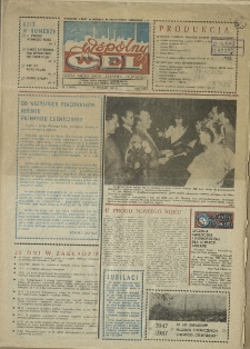 Wspólny cel : gazeta załogi ZWCH "Chemitex-Celwiskoza", 1987, nr 1 (1010)