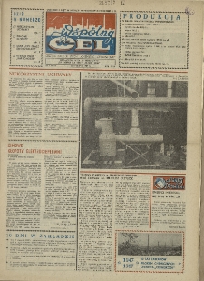 Wspólny cel : gazeta załogi ZWCH "Chemitex-Celwiskoza", 1987, nr 3 (1012)