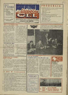 Wspólny cel : gazeta załogi ZWCH "Chemitex-Celwiskoza", 1987, nr 13 (1022)