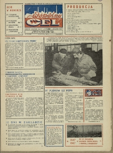 Wsp&oacute;lny cel : gazeta załogi ZWCH "Chemitex-Celwiskoza", 1987, nr 19 (1028)