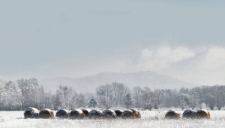 Podgórzyn (fot. 1) [Dokument ikonograficzny]