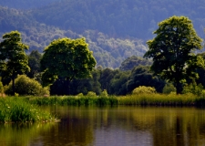 Stawy Podgórzyńskie (fot. 2) [Dokument ikonograficzny]