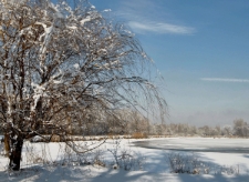 Stawy Podg&oacute;rzyńskie (fot. 3) [Dokument ikonograficzny]