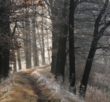 Cieplice (fot. 4) [Dokument ikonograficzny]