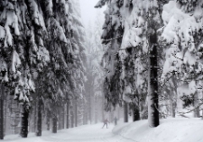 Jakuszyce (fot. 1) [Dokument ikonograficzny]