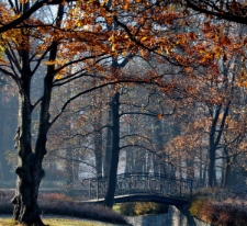 Park Zdrojowy - Cieplice (fot. 2) [Dokument ikonograficzny]