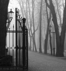 Park Zdrojowy - Cieplice (fot. 3) [Dokument ikonograficzny]