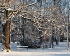 Park Zdrojowy - Cieplice (fot. 4) [Dokument ikonograficzny]