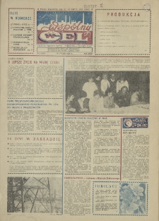 Wspólny cel : gazeta załogi ZWCH "Chemitex-Celwiskoza", 1989, nr 2 (1083)