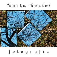Marta Kozioł - Fotografie - katalog [Dokument elektroniczny]