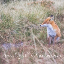 Kasia Przybyt &bdquo;Antilight&rdquo; - Karkonosze - katalog [Dokument elektroniczny]