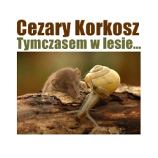Cezary Korkosz - Tymczasem w lesie... - katalog [Dokument elektroniczny]