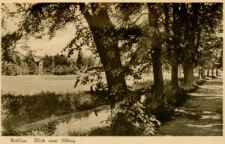 Wohlau. Blick zum Olberg [Dokument ikonograficzny]