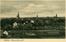 Wohlau, Gesamtansicht [Dokument ikonograficzny]