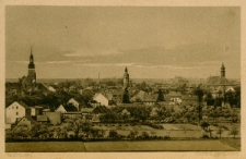 Wohlau. Totalansicht [Dokument ikonograficzny]