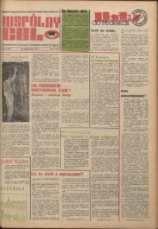 Wspólny cel : gazeta samorządu robotniczego Celwiskozy, 1975, nr 28 (619)