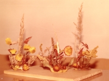 Konkurs na najładniejszą ikebanę [Dokument ikonograficzny]