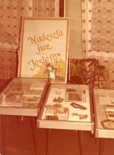 Wystawa "Nadeszła już jesien" [Dokument ikonograficzny]