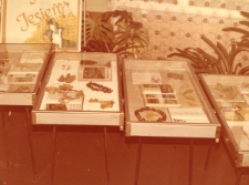 Wystawa "Nadeszła już jesien" [Dokument ikonograficzny]