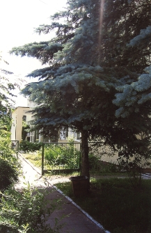 Miejska i Gminna Biblioteka Publiczna w Wołowie [Dokument ikonograficzny]