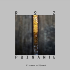 Wawrzyniec Jan Dąbrowski - Rozpoznanie - katalog [Dokument elektroniczny]