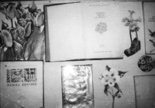 Wystawka poświęcona Ewie Szelburg-Zarembinie [Dokument ikonograficzny]