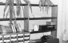 Dział Gromadzenia i Opracowania [Dokument ikonograficzny]