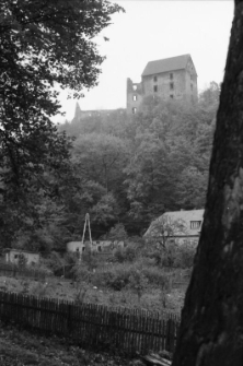 Zamek Świny (fot. 1) [Dokument ikonograficzny]